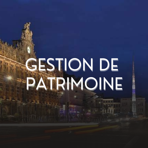 Audit patrimonial Vision – Gratuit avec engagement