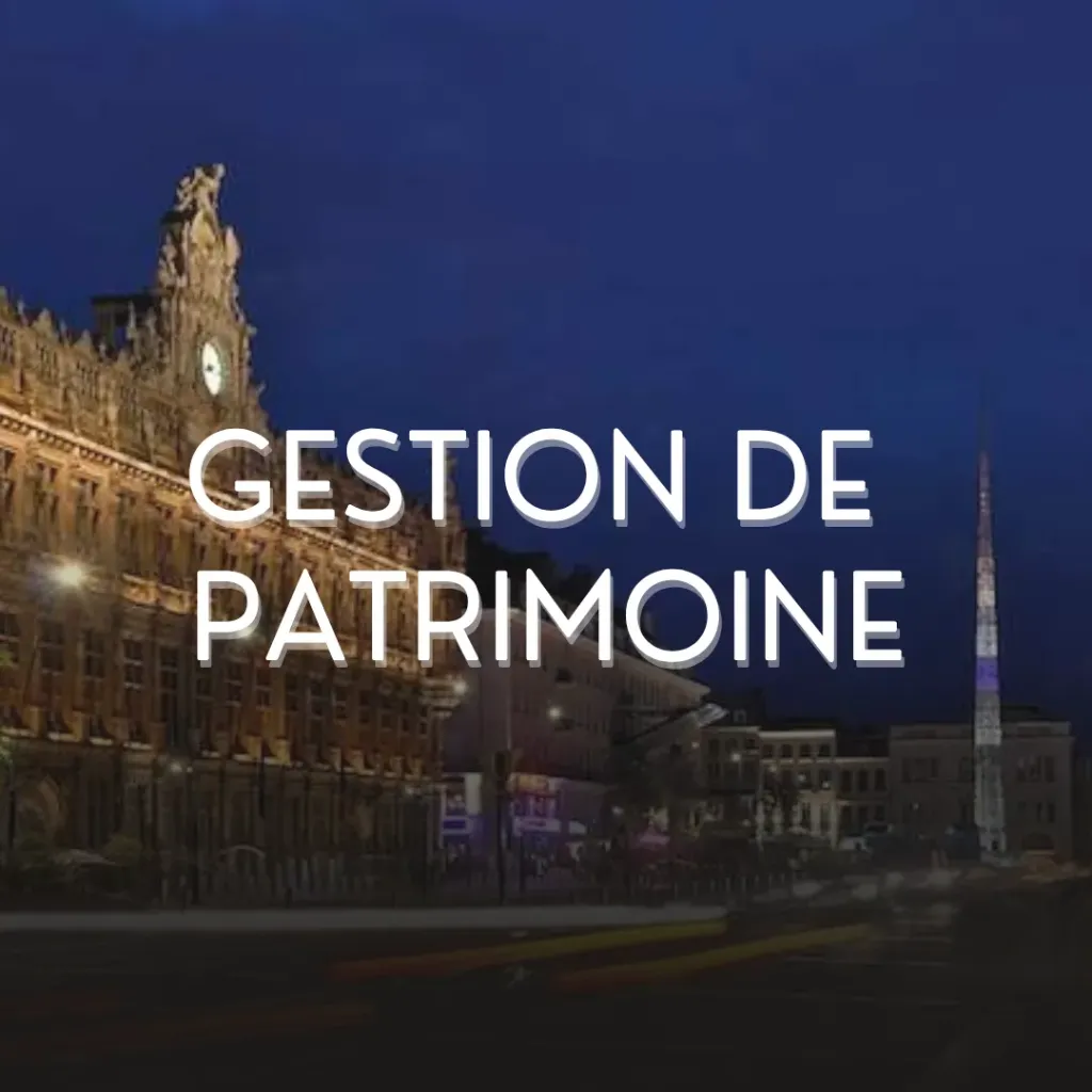 Audit Patrimonial - Stratégie